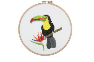 Embroidery kit  toucan